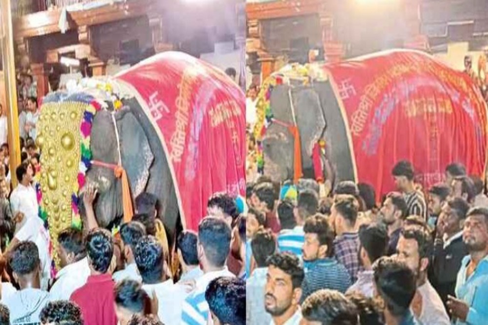 नांदणीतील लाडकी हत्तीण महादेवीला अश्रूंनी निरोप; सर्वोच्च न्यायालयाच्या आदेशानंतर गुजरातकडे रवाना 